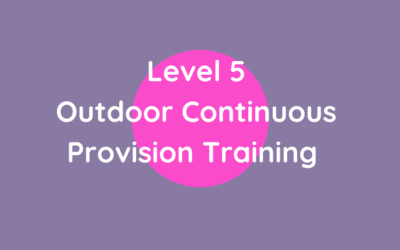 Outdoor Continuous Provision Training (Level 5)
