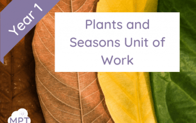 Plants and Seasons (Year1) Science Unit – Outdoor Scheme of Work
