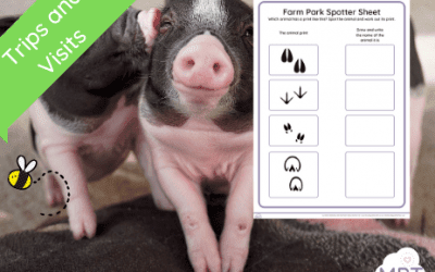 Farm Park Resource (Footprint Spotter Sheet)