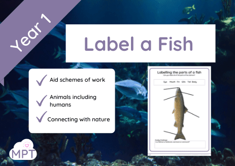 fishlabelling fish labelling