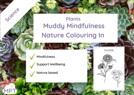 Plants Mindfulness Colouring In