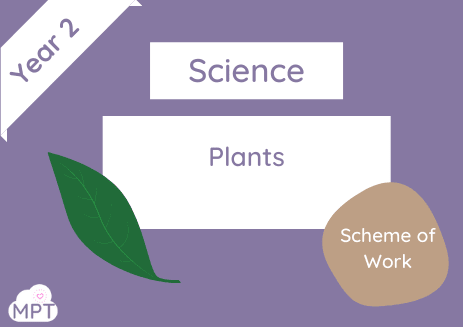 schemes of work year 2 outdoors