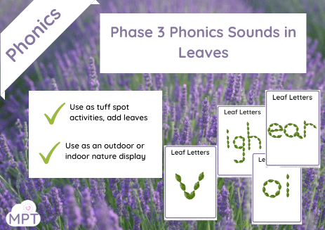 Website Rocks (12) Phase 3 Phonics Sounds