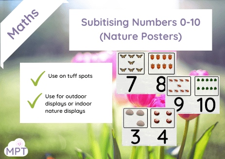 Subitising Numbers 0-10 (Nature Posters)