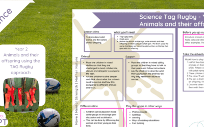 Year 2 animals and their offspring