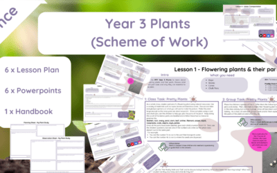 Year 3 Plants (Scheme of Work)
