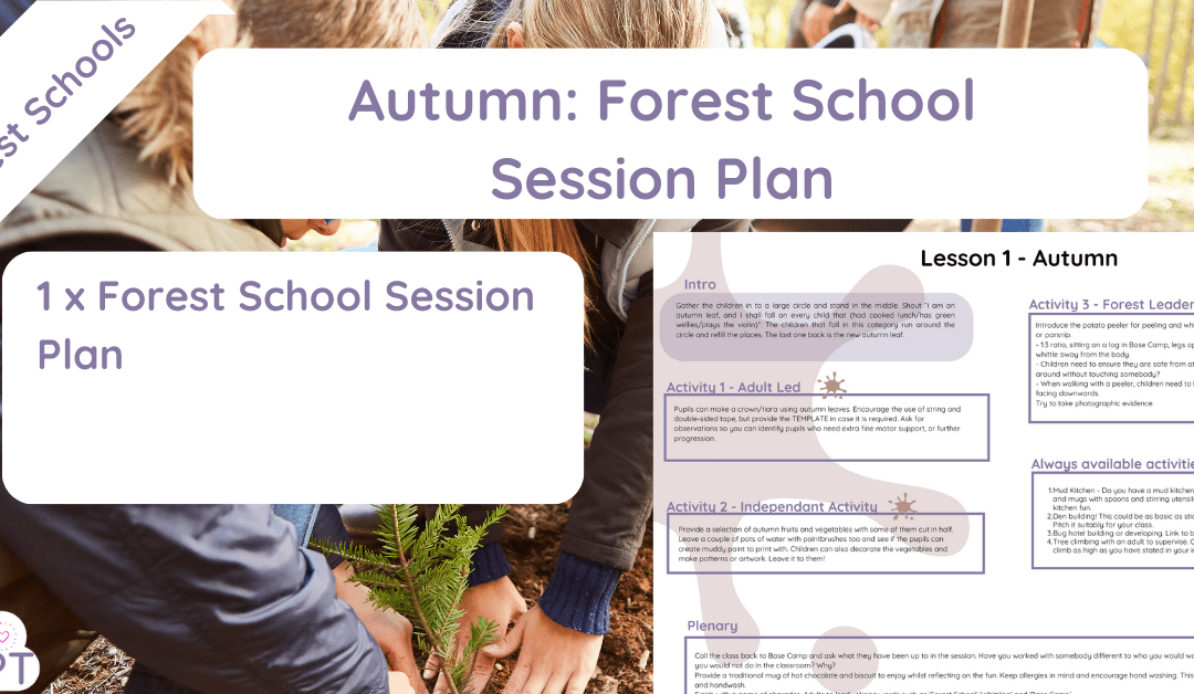 Forest school session plan