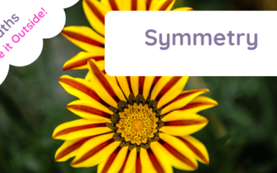 Outdoor Symmetry Lessons