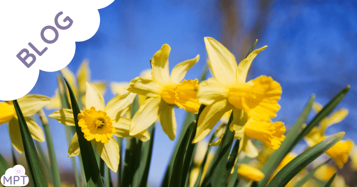 100 Outdoor Learning Activities for Primary Schools