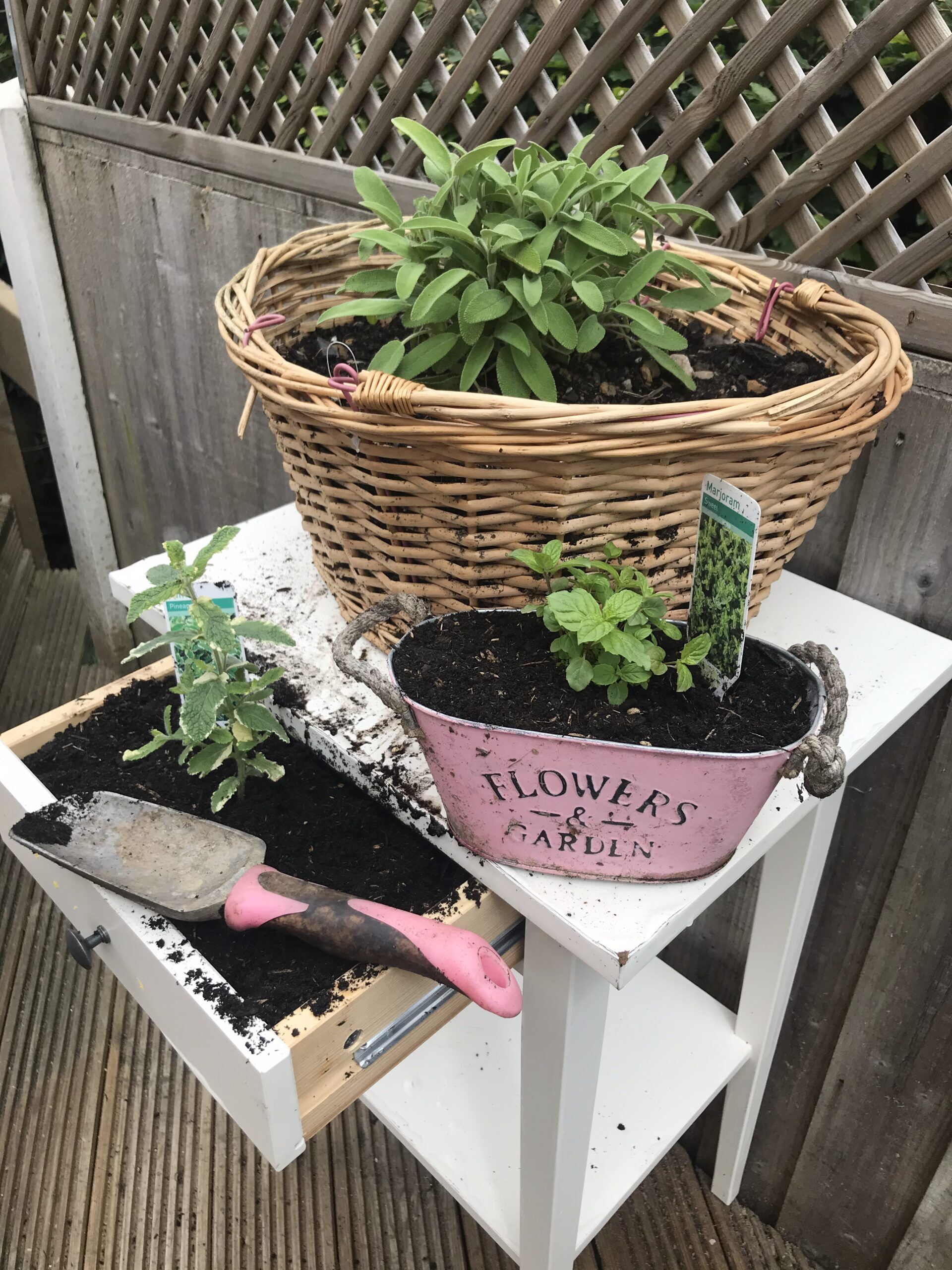 teaching science outdoors