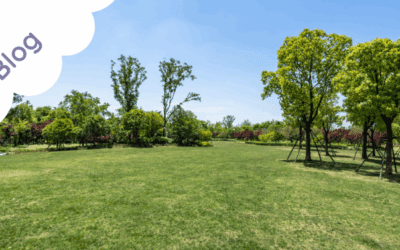 Outdoor Learning Ideas Using Ropes for EYFS