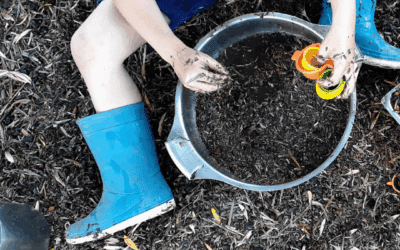 Why Classrooms Need to Evolve : Outdoor Learning KS1