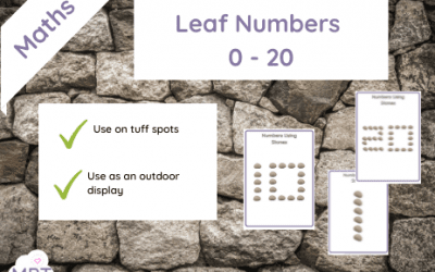 Numbers in Stones (Tuff Spot/Display)
