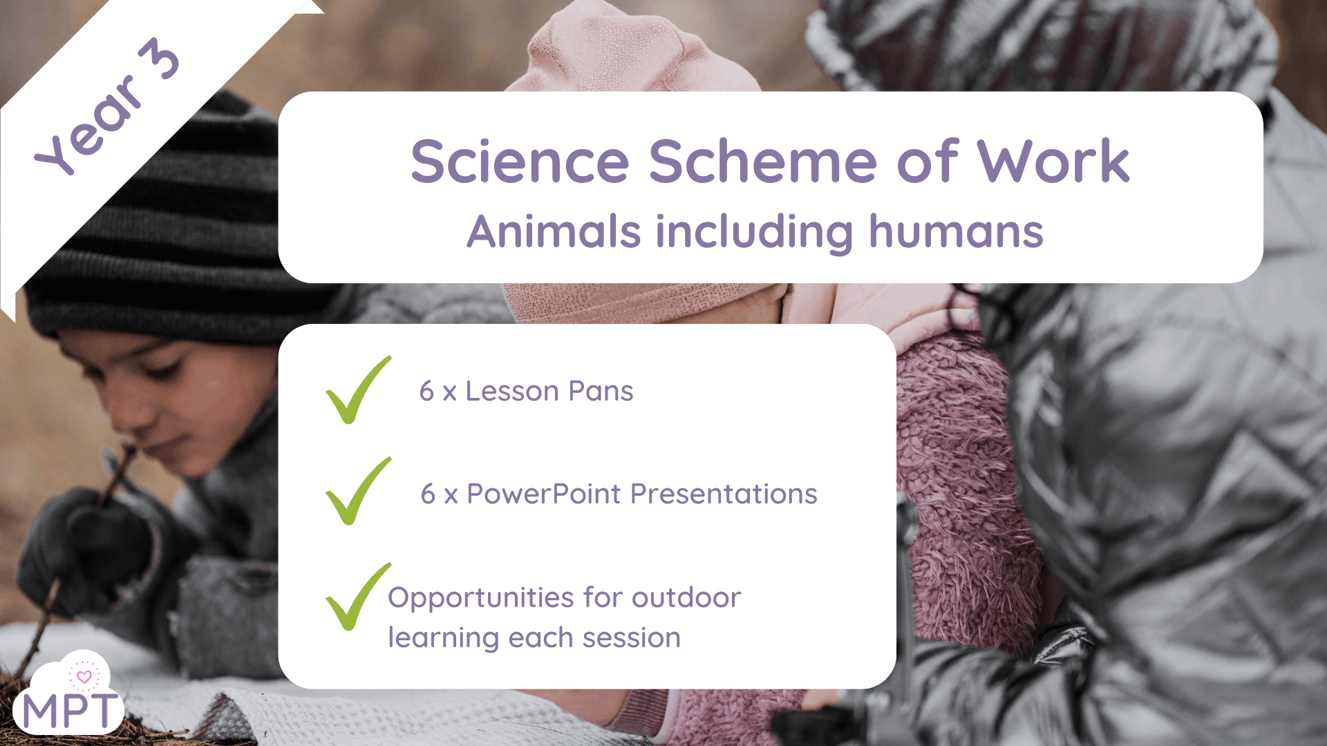 schme of work Year 3 animals Science schemes of work