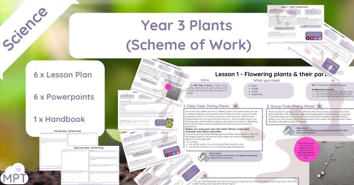 Year 3 Plants (Scheme of Work) Year 3 Plants (Scheme of Work)
