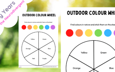 Outdoor Learning Colour Wheel
