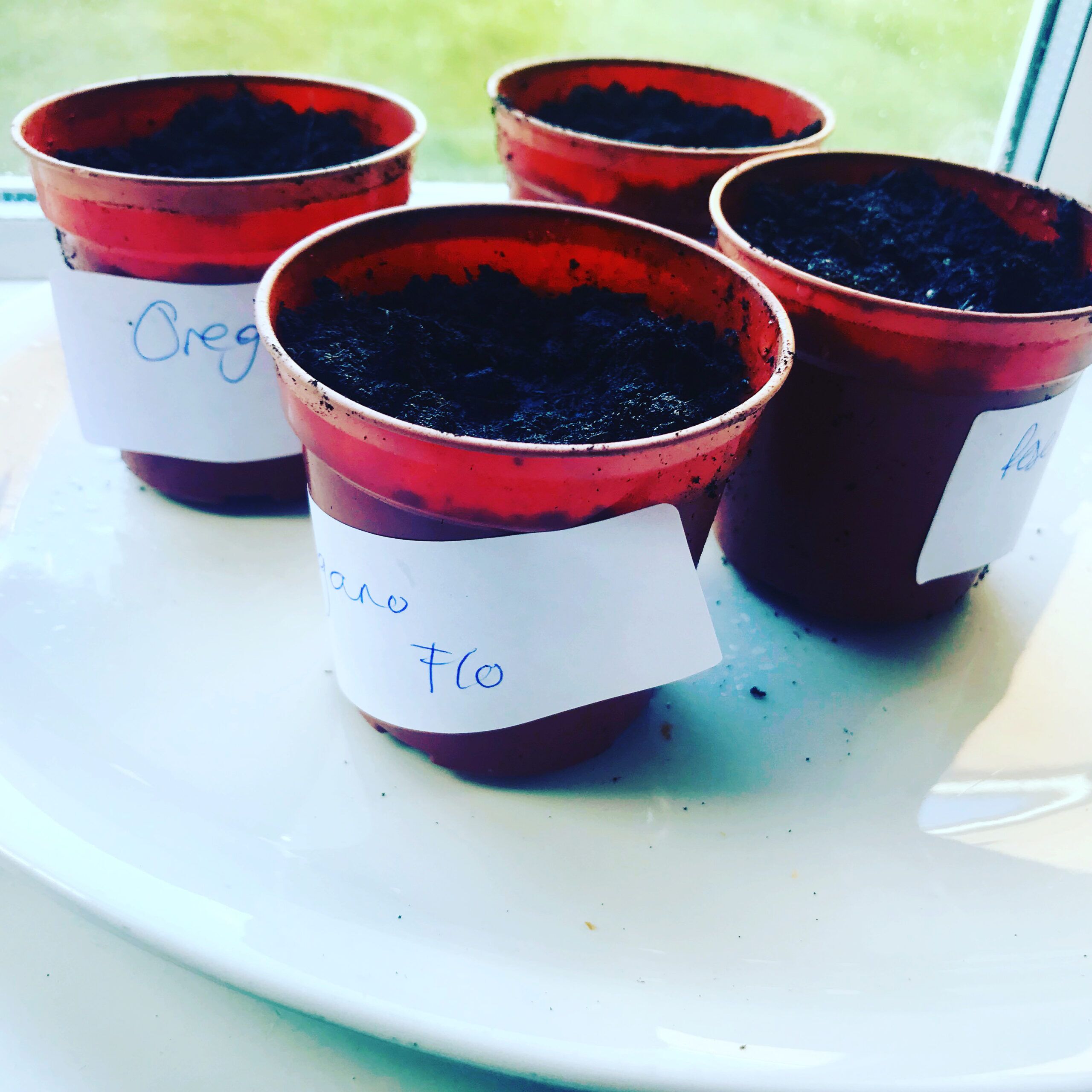 planting and growing course