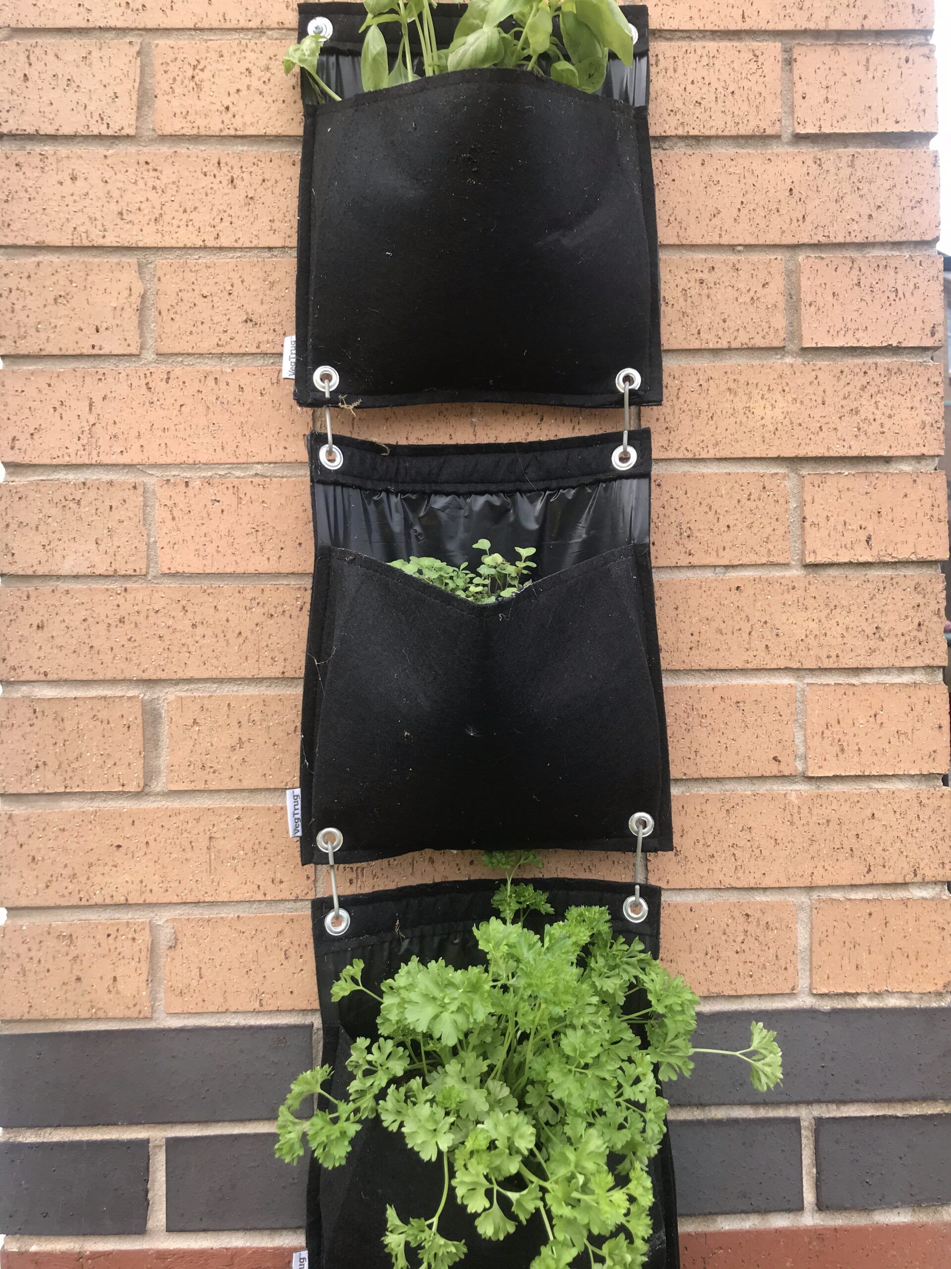 outdoor sustainability award