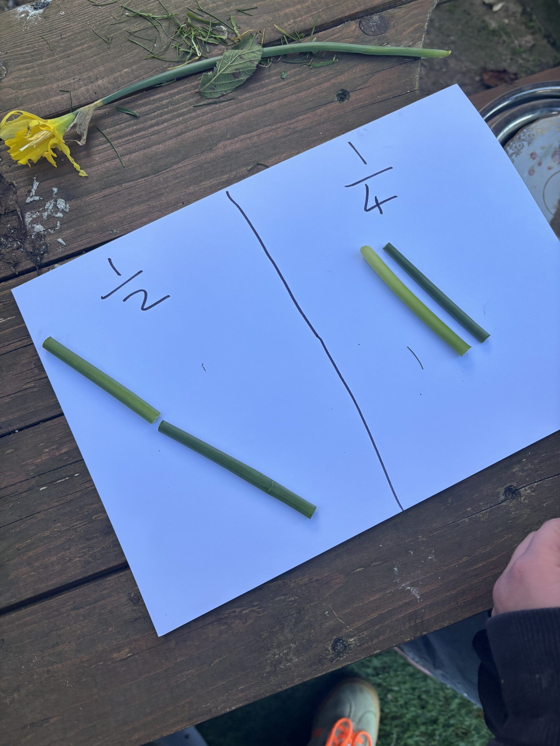 outdoor learning level 1