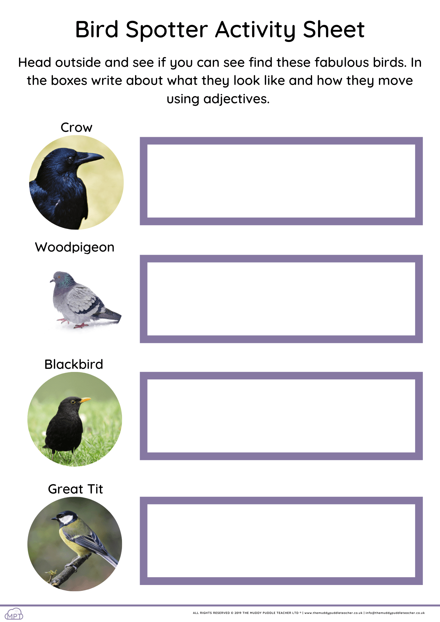 Copy of Add a subheading bird spotter
