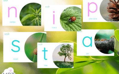 Phase Two Phonics Nature Posters