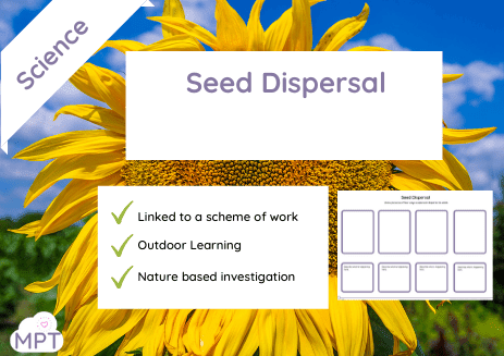 Muddy Puddle Teacher (8) seed dispersal