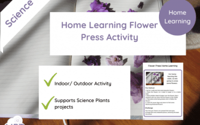 How to make a Flower Press (Home Learning)