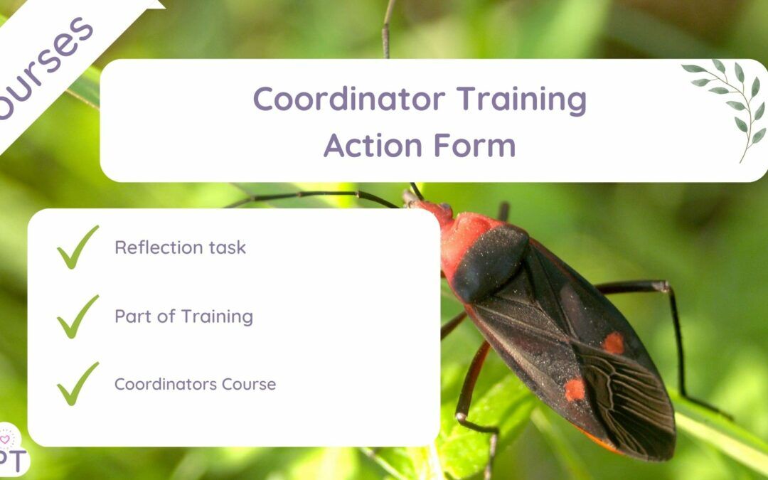 coordinator training