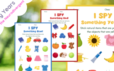 Outdoor Learning Colour I Spy