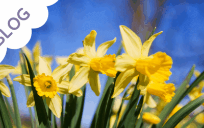 100 Outdoor Learning Activities for Primary Schools