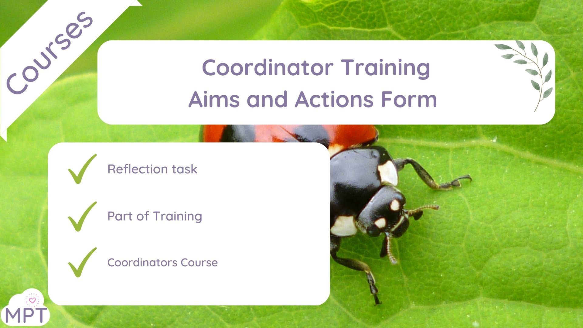 coordinators course