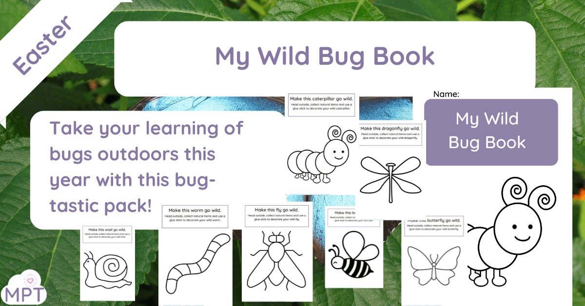 my wild bug book