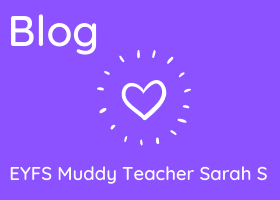 blog sarah s