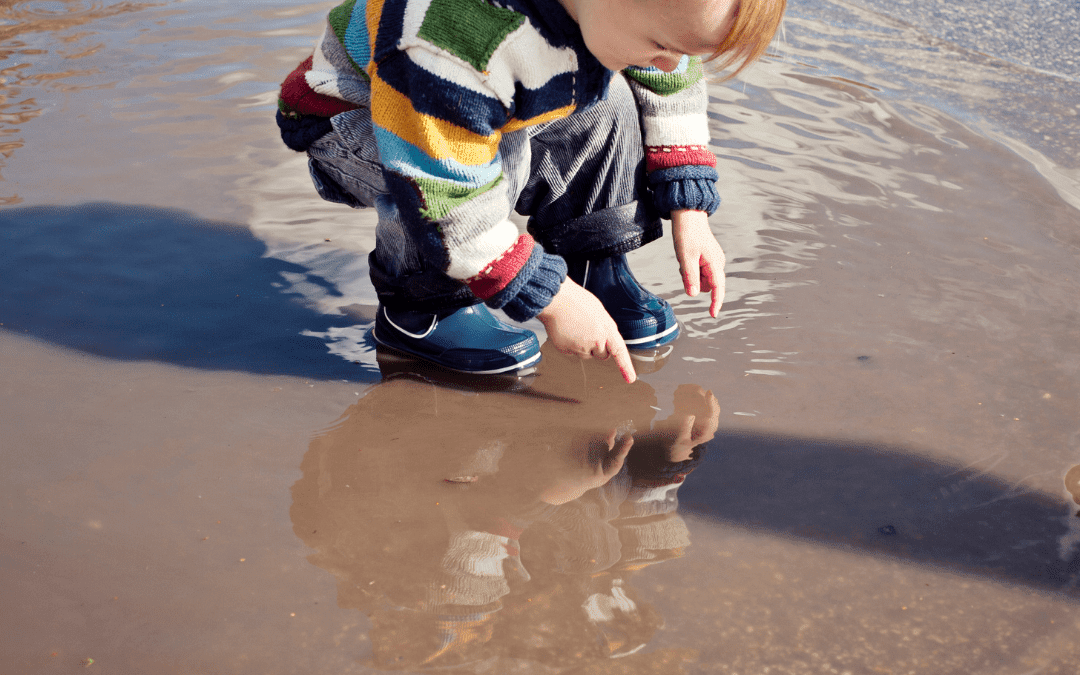 muddy puddle