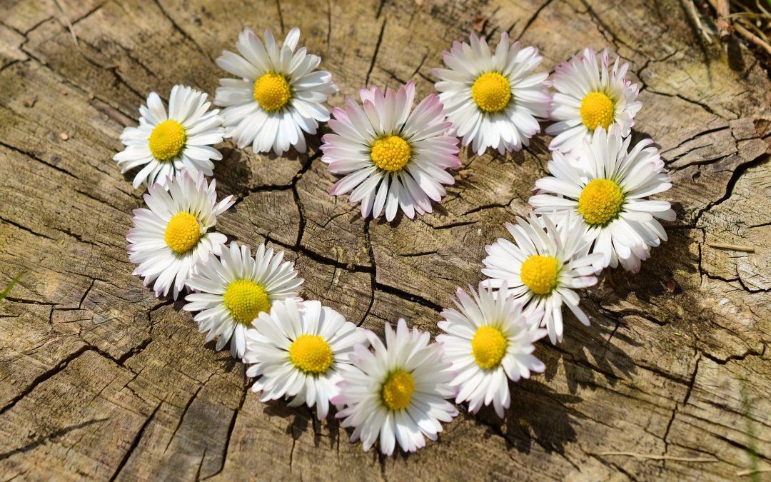 spring ideas for kids