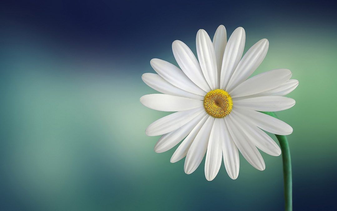 7 Spring Ideas for kids