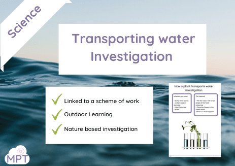 transporting water