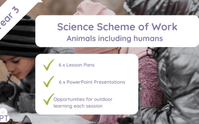 SofW: Animals including Humans (Year3)