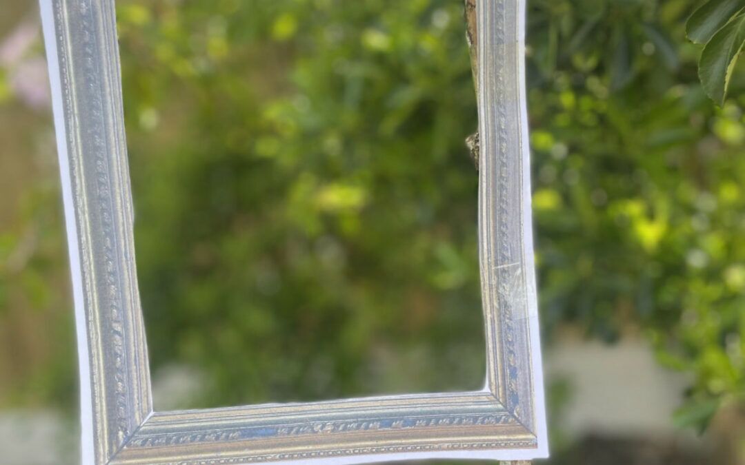 muddy frames