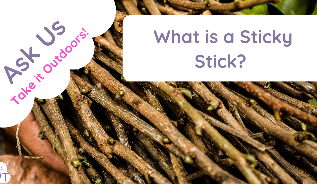 Sticky Stick