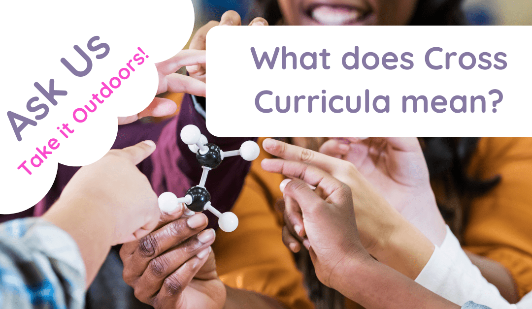 cross curricula