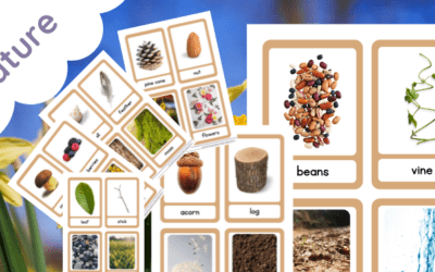 Nature Flash Cards (Outdoor Learning)