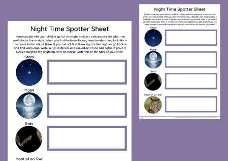 Night Time Spotter Activity