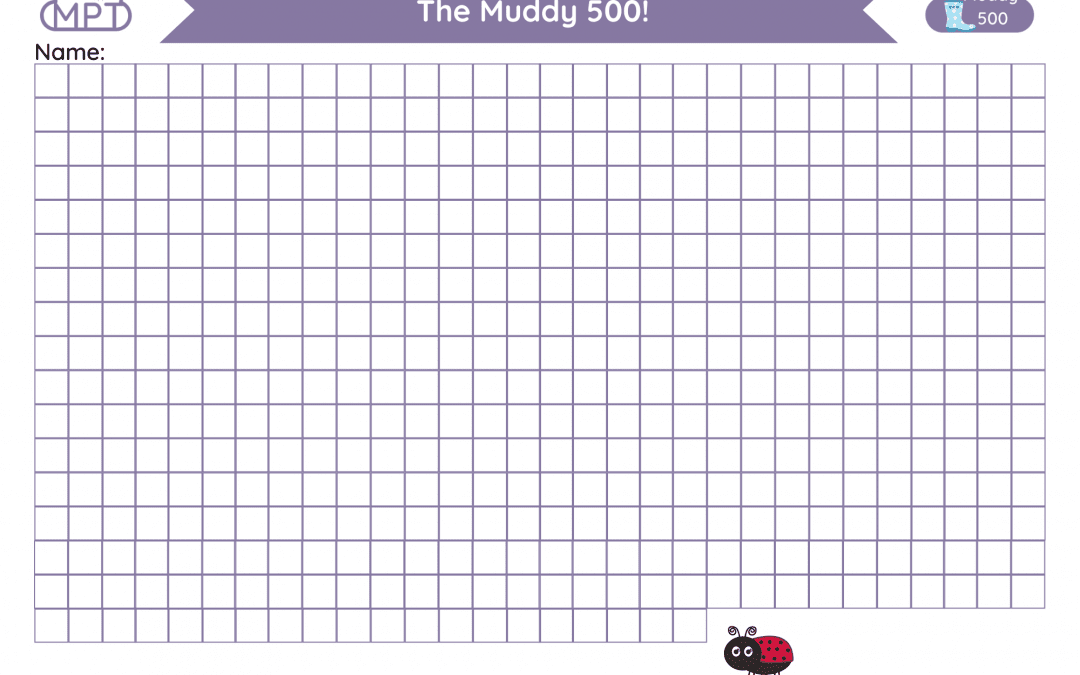 muddy 500 grid