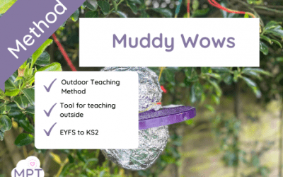 Muddy Wows