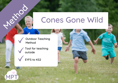 cones gone wlld