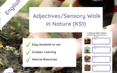 Sensory Walk in Nature