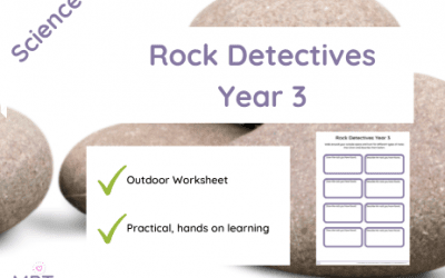 Rock Detectives (Year 3)