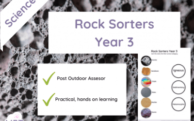 Rock Sorters (Year 3)
