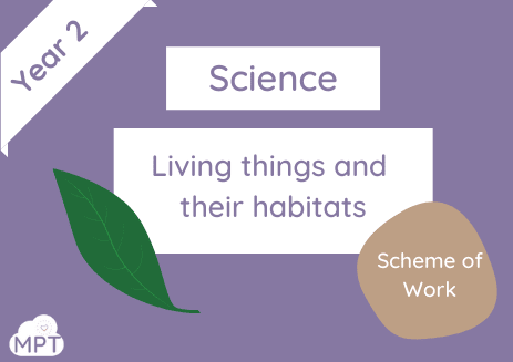 year 2 schems of work outdoors